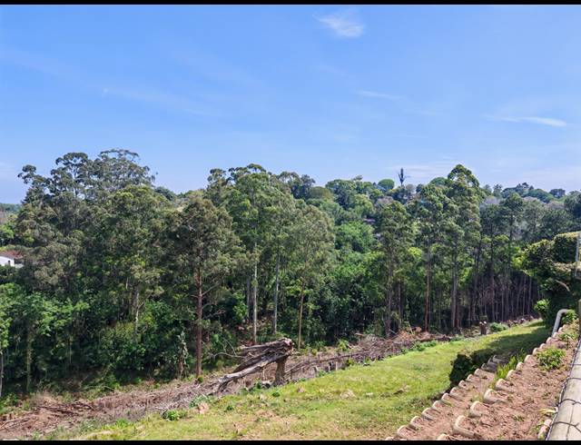 8,992M² VACANT LAND SOLD IN WESTVILLE